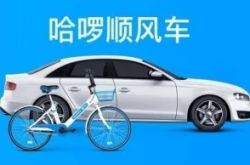 【7分钟教程】阿坝州信息公开_哔哩哔哩